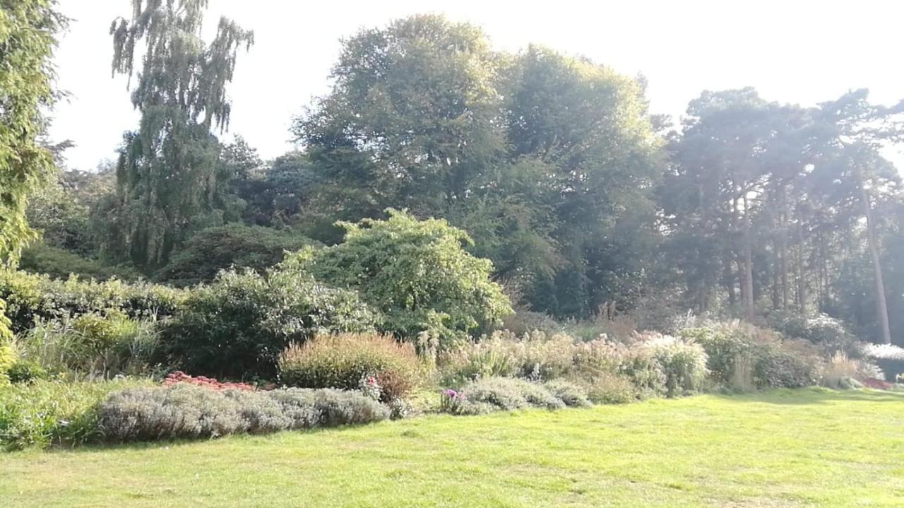 Many Worlds Meet - Eurostar, Wimbledon 30 Mins, Central London, Gatwick 15 Mins - Spacious, Sleeps Up To 16 Plus Cot - Free Wifi, Parking - Next To Lloyd Park, Great For Families, Walkers, Relocators - Ideal For Contractors 克罗伊登 外观 照片