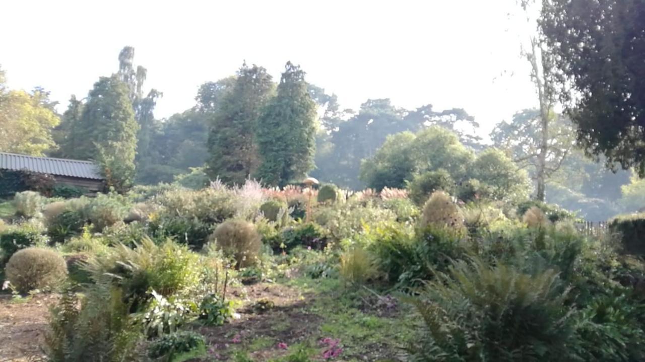 Many Worlds Meet - Eurostar, Wimbledon 30 Mins, Central London, Gatwick 15 Mins - Spacious, Sleeps Up To 16 Plus Cot - Free Wifi, Parking - Next To Lloyd Park, Great For Families, Walkers, Relocators - Ideal For Contractors 克罗伊登 外观 照片