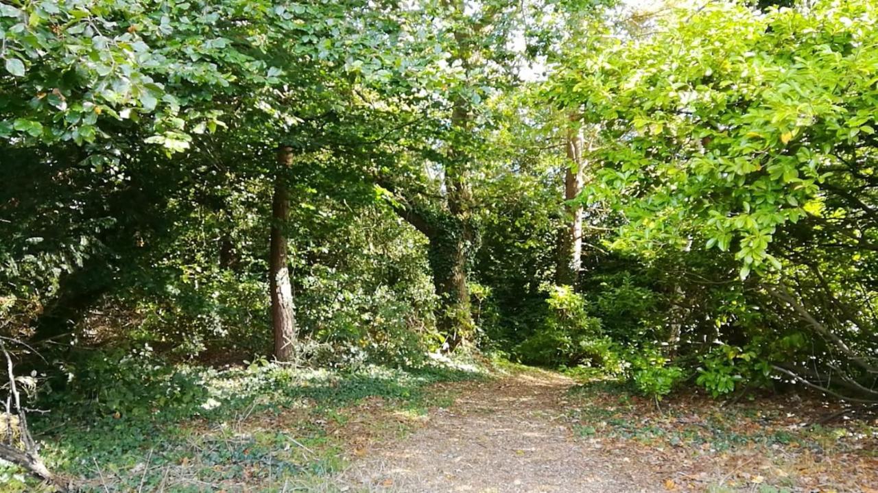 Many Worlds Meet - Eurostar, Wimbledon 30 Mins, Central London, Gatwick 15 Mins - Spacious, Sleeps Up To 16 Plus Cot - Free Wifi, Parking - Next To Lloyd Park, Great For Families, Walkers, Relocators - Ideal For Contractors 克罗伊登 外观 照片