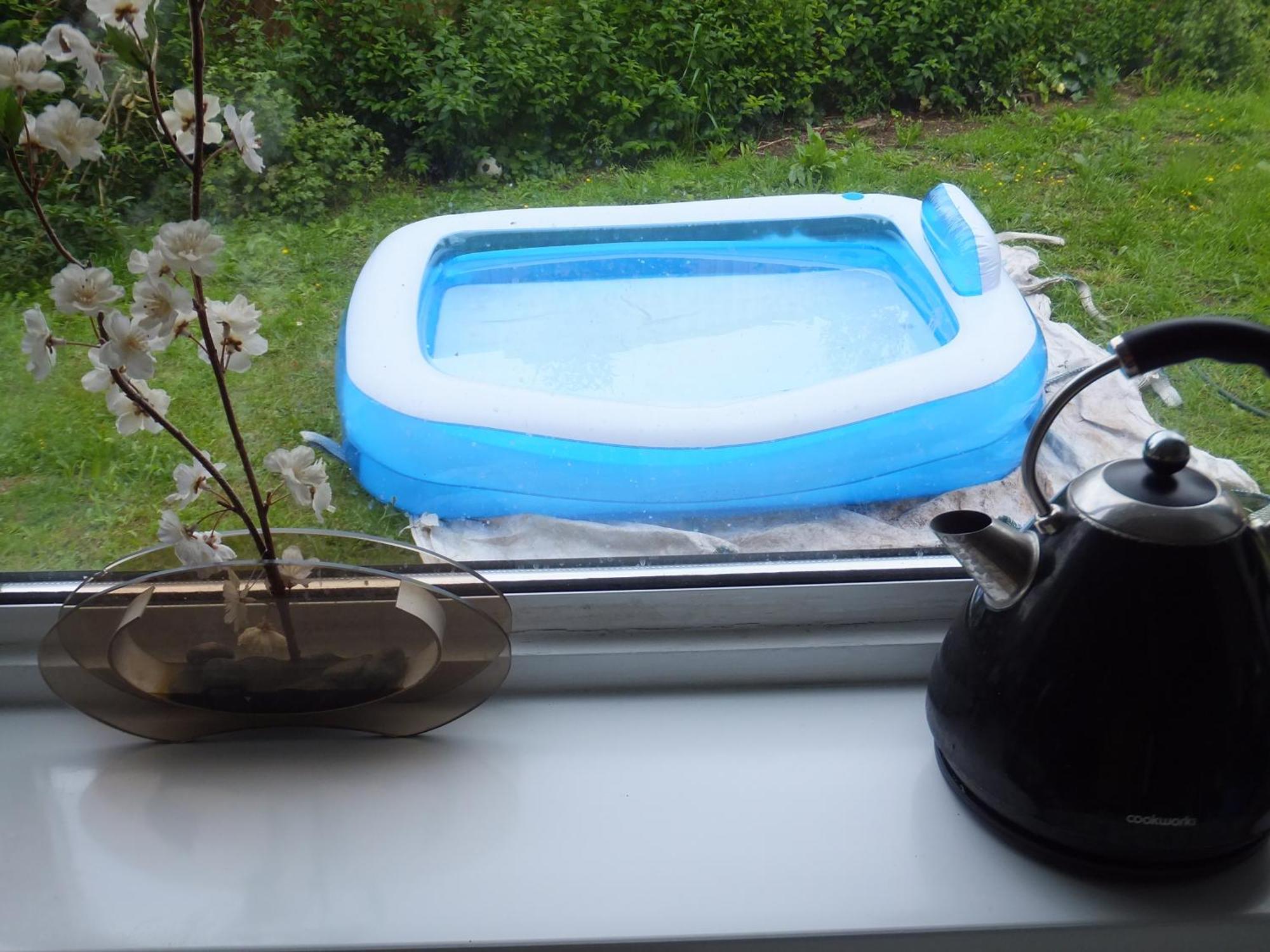 Many Worlds Meet - Eurostar, Wimbledon 30 Mins, Central London, Gatwick 15 Mins - Spacious, Sleeps Up To 16 Plus Cot - Free Wifi, Parking - Next To Lloyd Park, Great For Families, Walkers, Relocators - Ideal For Contractors 克罗伊登 外观 照片